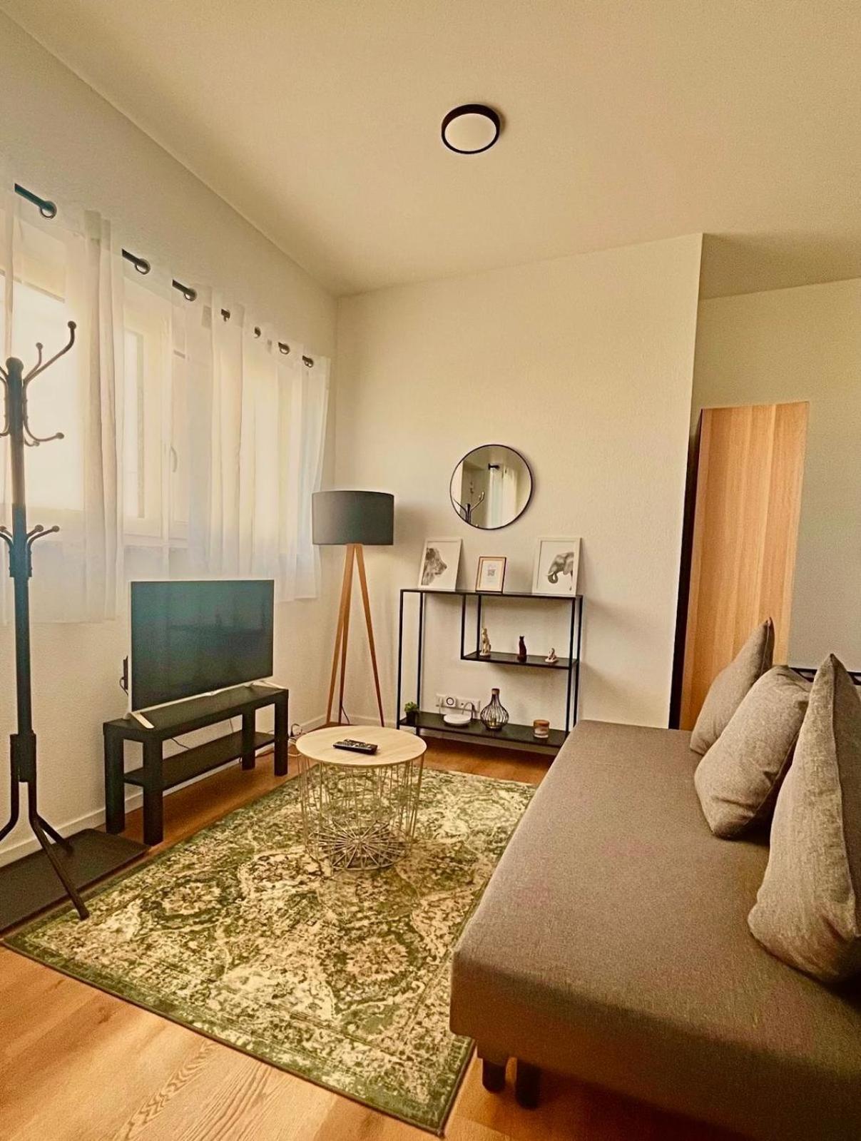 Studio Apartment Albblick Trossingen Eksteriør billede